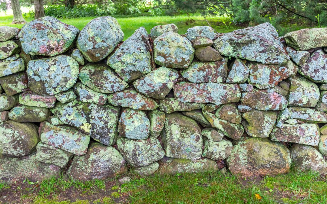 Is Stonewalling Abuse? Seeing the Damage and Learning to Stop